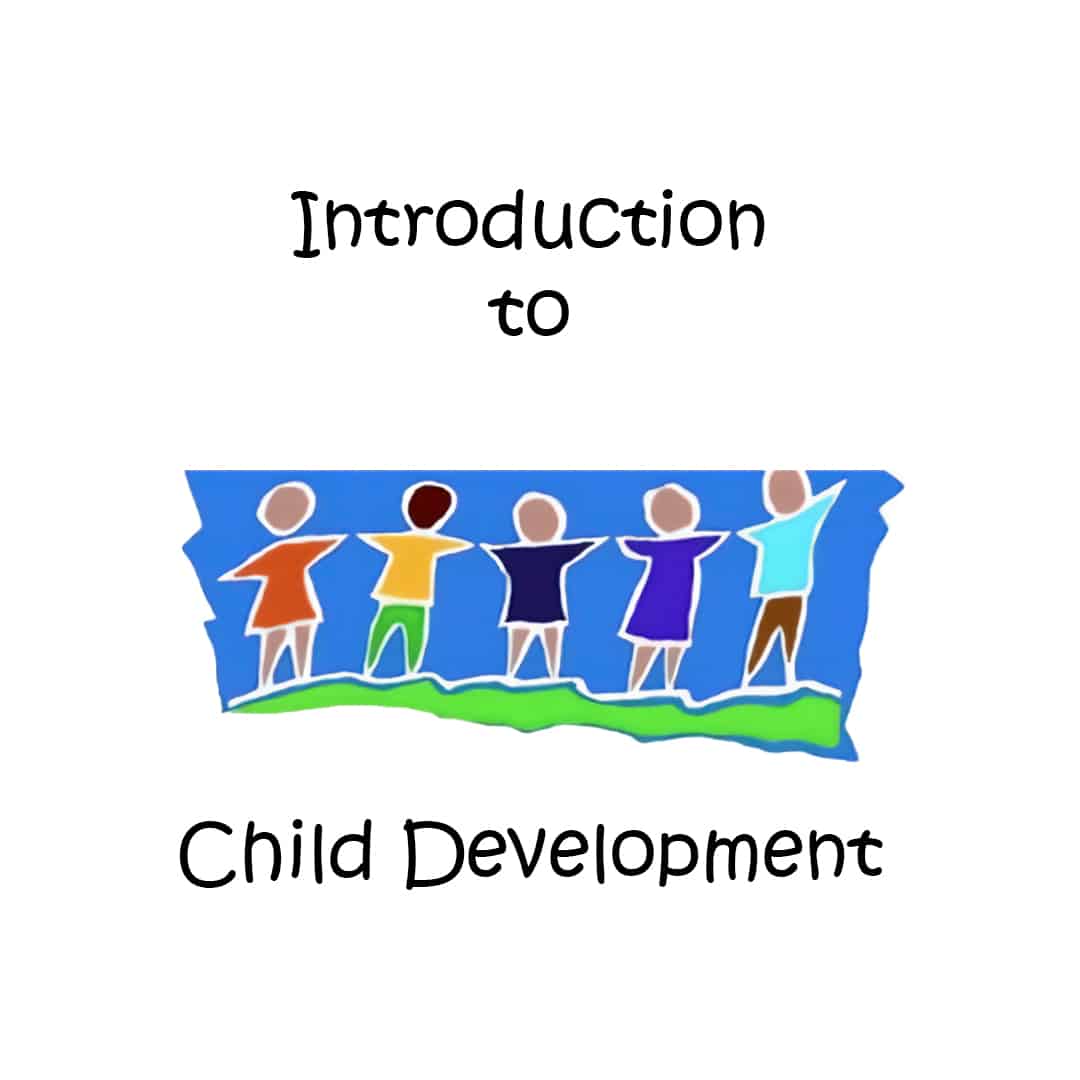 Introduction To Child Development Saving Lives